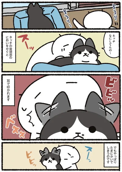 『あっち こっち ネッチ！』より