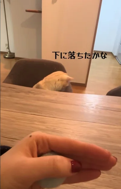 「ボール下に落ちた？」▶ボールが見つからない…（⇒次へ）