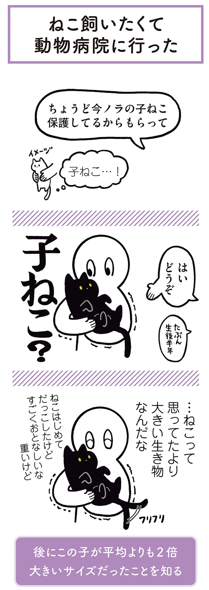 子ねこ?
