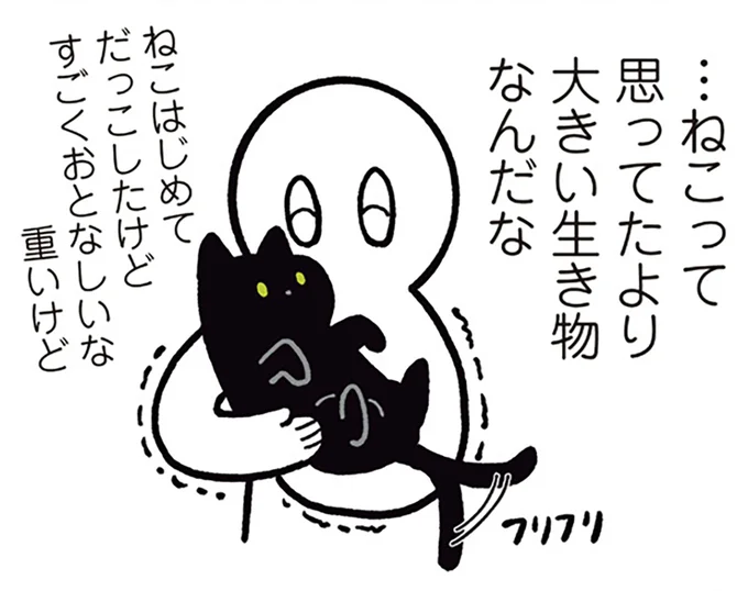 ねこって思ってたより大きい生き物なんだな