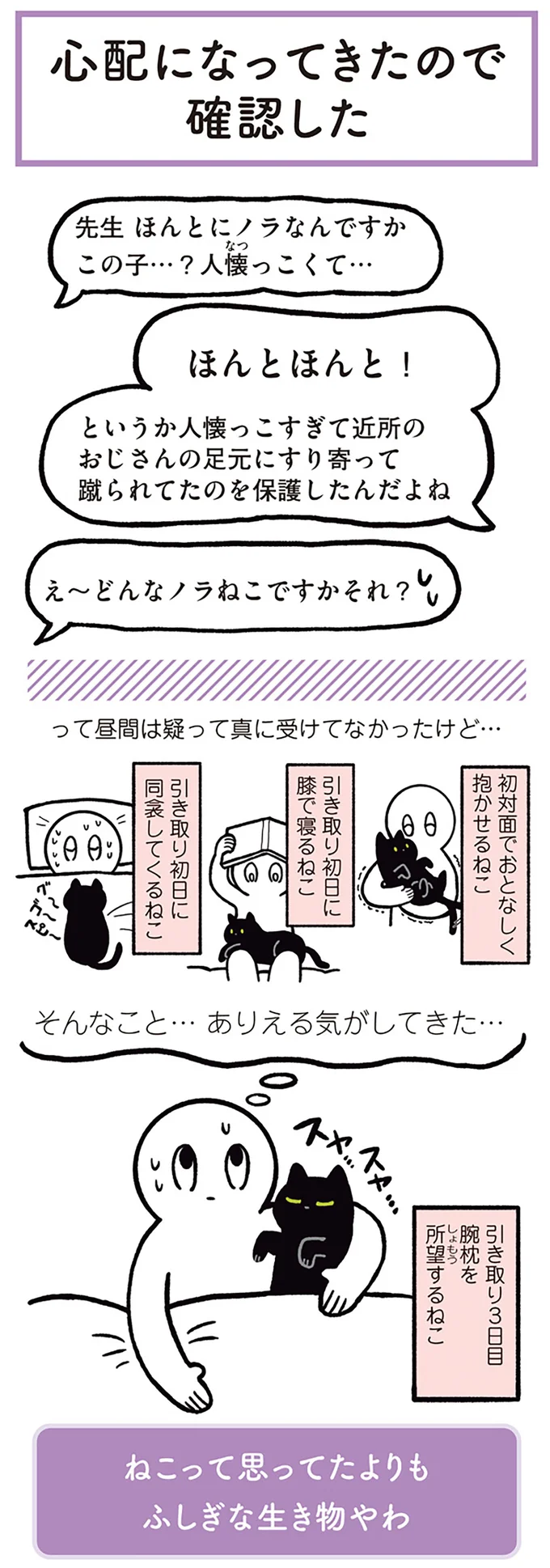 先生 ほんとにノラなんですかこの子…?
