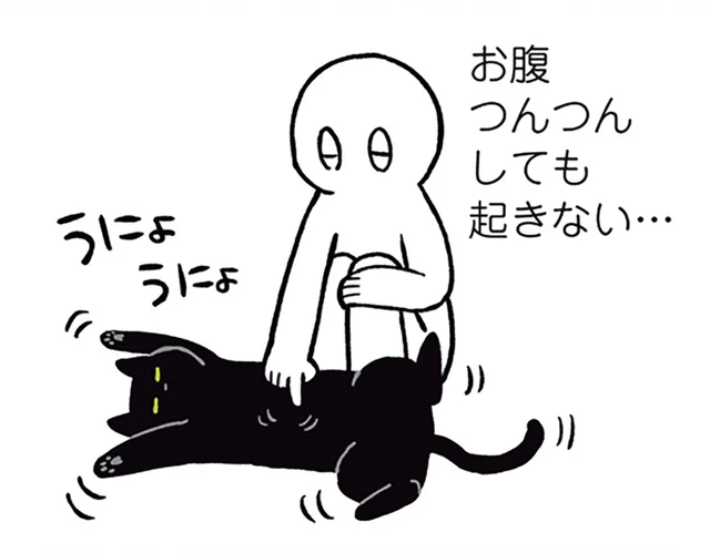 思ってた寝姿と違う！お腹をつんつんされても起きない黒猫ろん