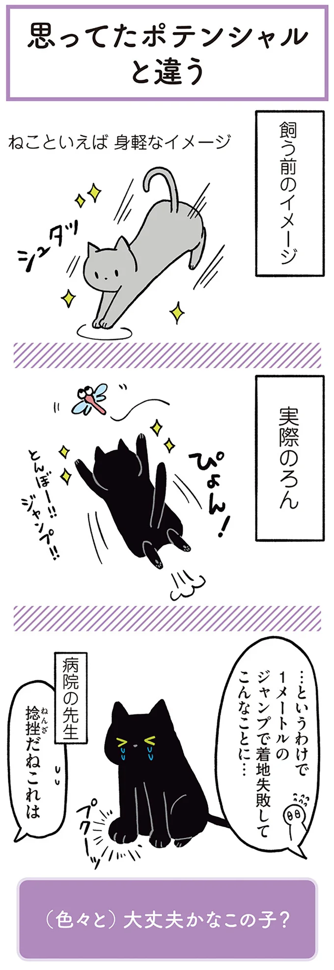 ねこといえば身軽なイメージ