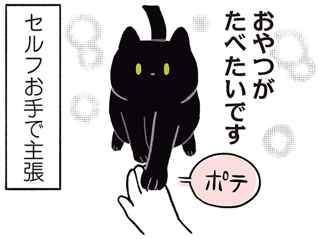 ねこって気ままじゃないの？控えめにアピールする黒猫ろん