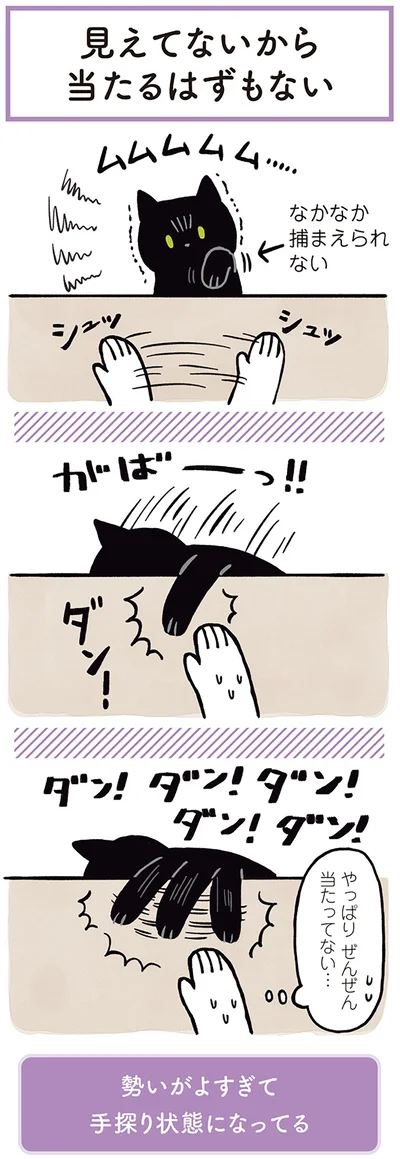 やっぱりぜんぜん当たってない…