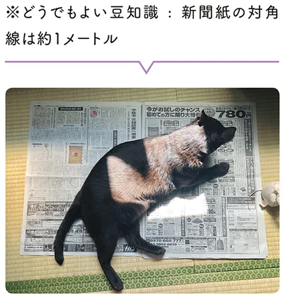 ※どうでもよい豆知識：新聞紙の対角線は約1メートル