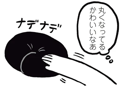 丸くなってるかわいいなあ