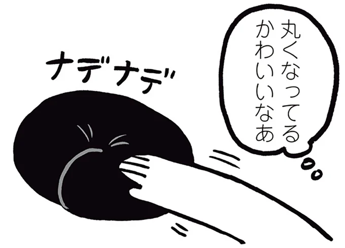 丸くなってるかわいいなあ