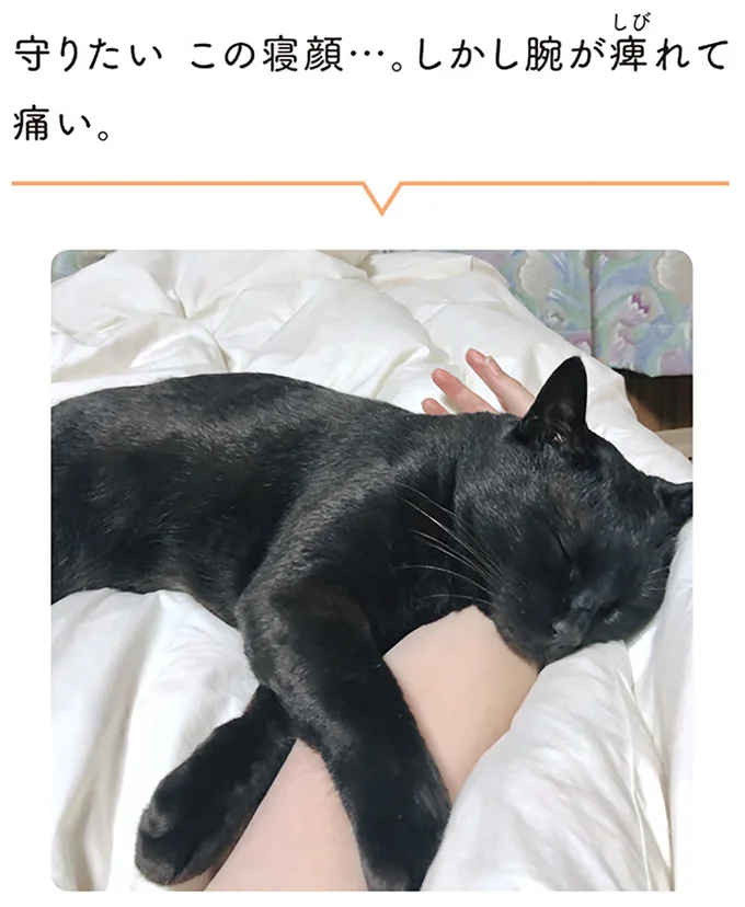 守りたい この寝顔…