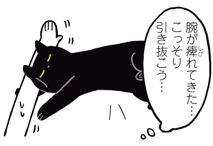 こっそり引き抜こう…