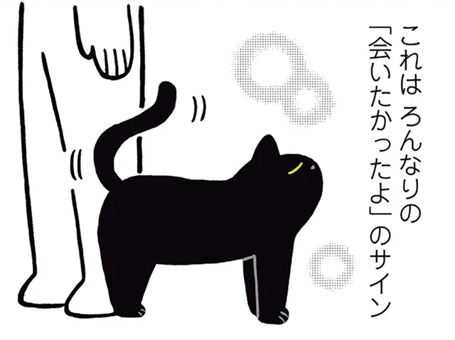 しっぽをスリスリ。黒猫ろんの「会いたかったよ」サインに悶絶！