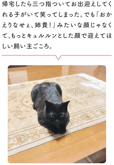 帰宅したら三つ指ついてお出迎えしてくれる子がいて笑ってしまった
