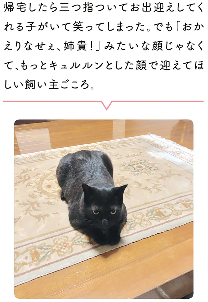 帰宅したら三つ指ついてお出迎えしてくれる子がいて笑ってしまった