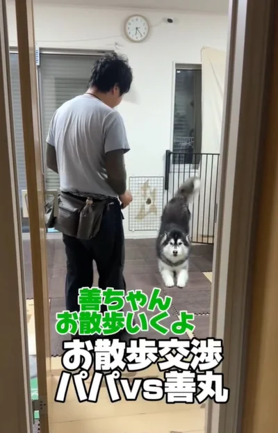 お散歩に誘う飼い主さん（⇒次へ）