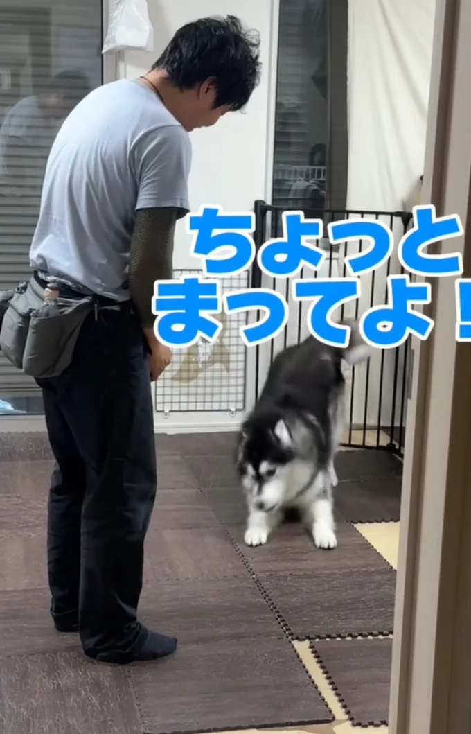 行きたくなさそう▶正反対の…(⇒次へ)