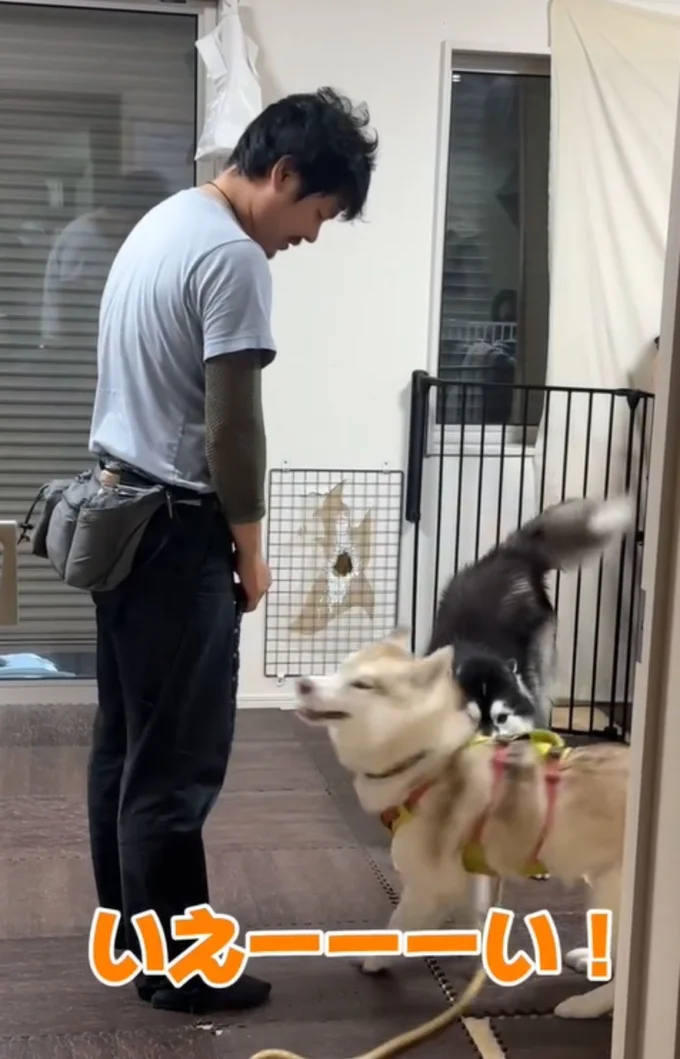 妹分「モニカちゃん」はノリノリ▶お兄ちゃんは…(⇒次へ)