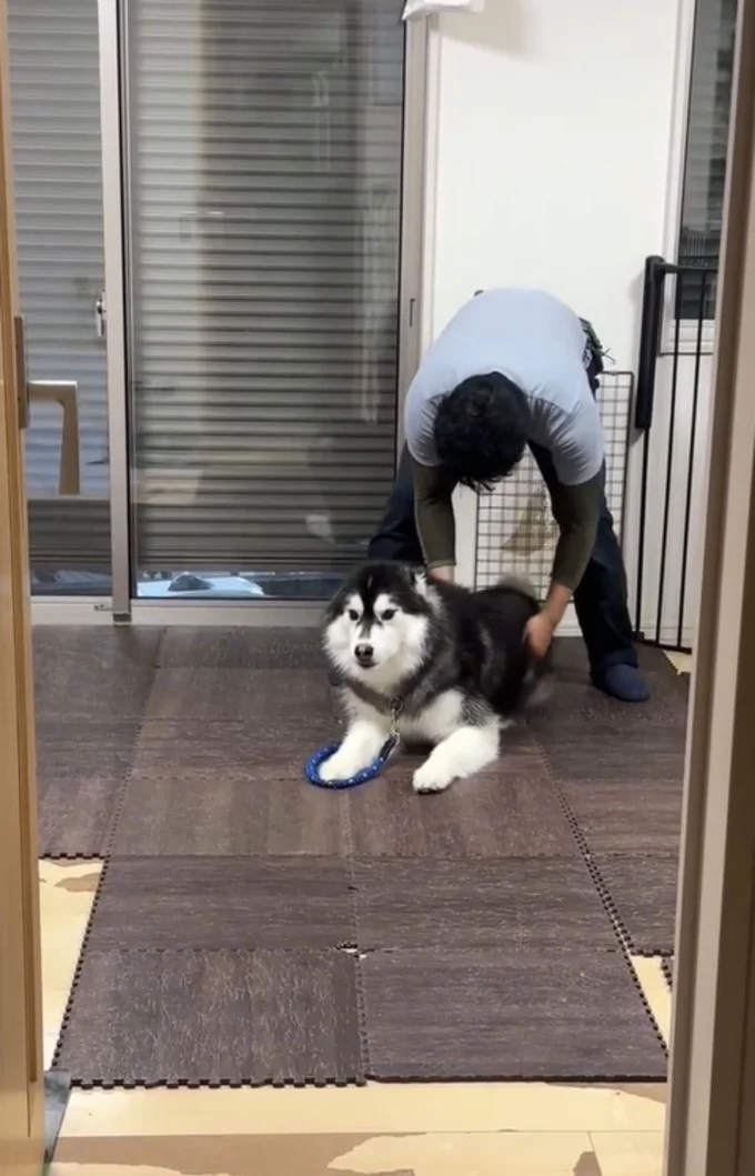 体をさすっても動かない▶やる気を出させるため…(⇒次へ)
