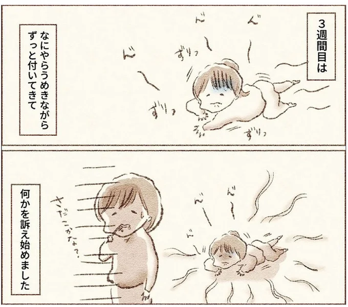 なにやらうめきながらずっと付いてきて何かを訴え始めました