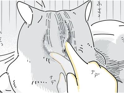 猫の後頭部が気になる