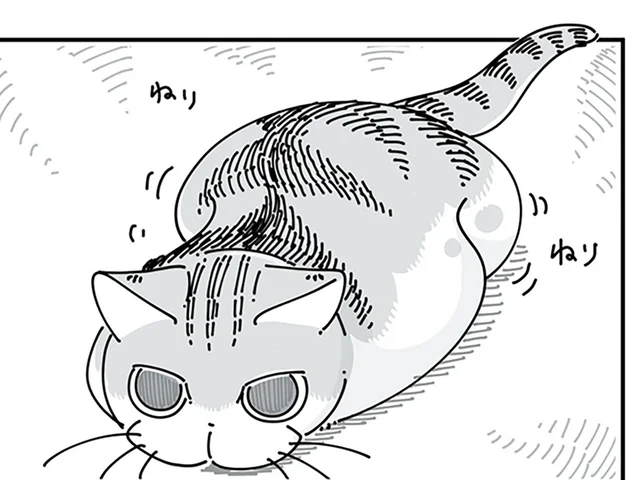 とびつきそうでとびつかない。ネコより飼い主の方がドキドキする!?