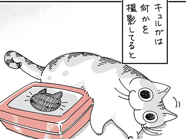 「わぁ、写り込んでるなぁ」カメラをネコに向けた途端、まさかの反応