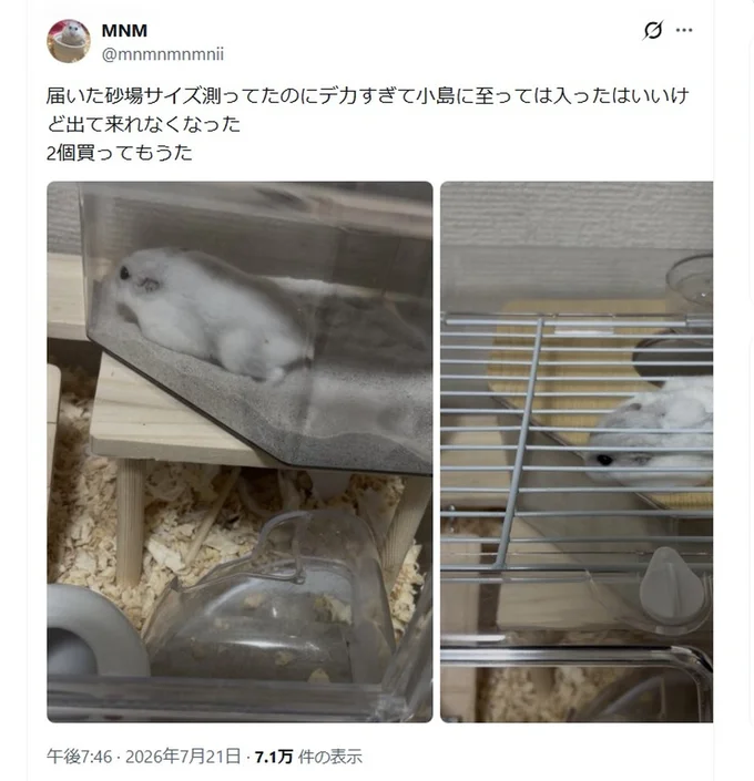 右の画像にご注目!すき間から体がはみ出ています▶この感じ、どこかで見た事があるような…(⇒次へ)