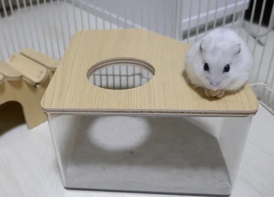 ここならゆで卵にならない！▶やっぱり狭い場所が好きなんですね（⇒次へ）