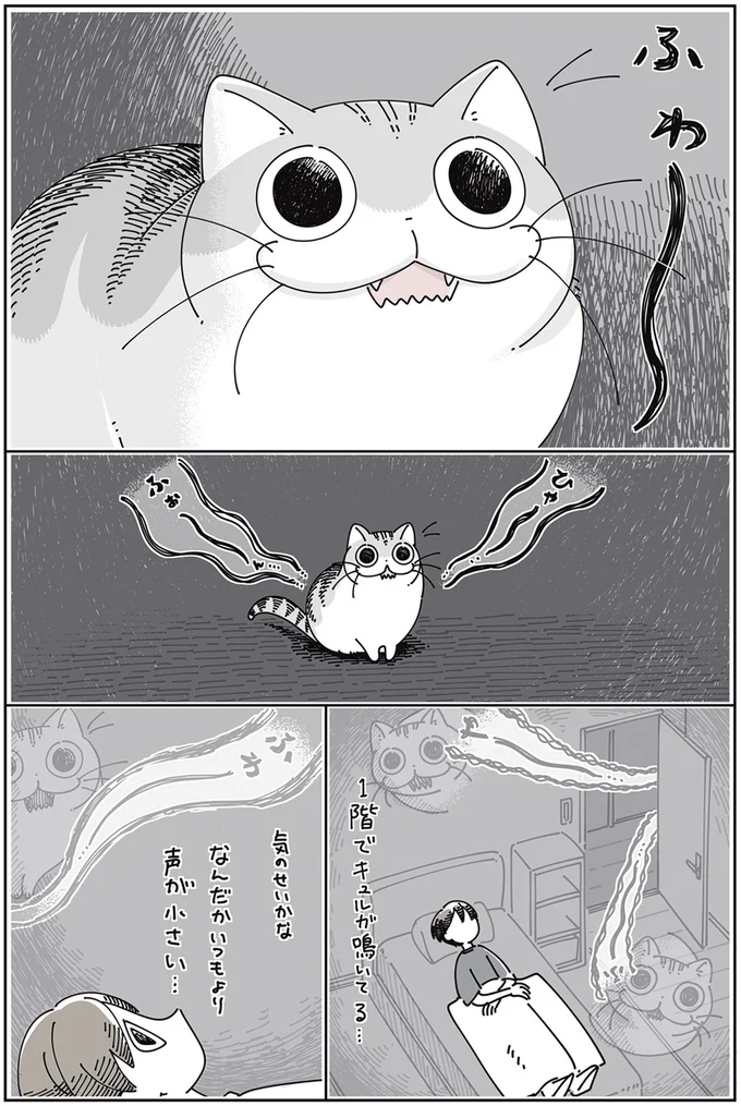 ネコが心配になる夜中
