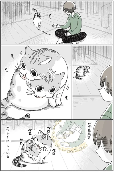 なでた所をキレイにしている