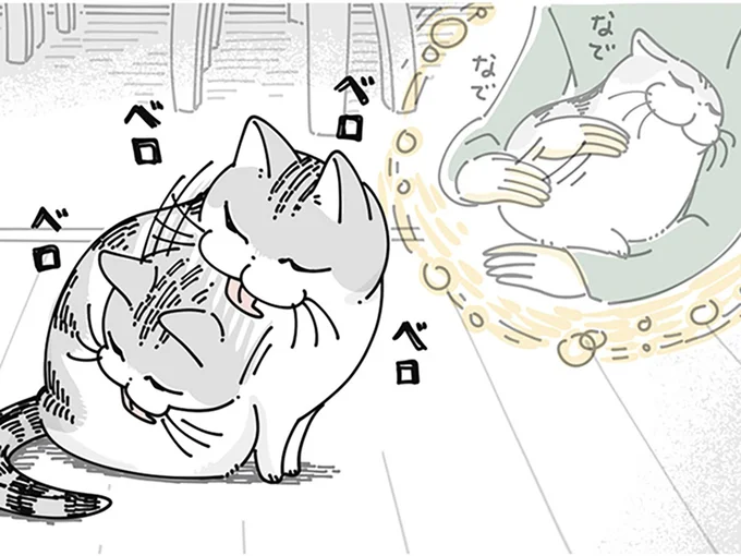離れてすぐに毛づくろいをされて
