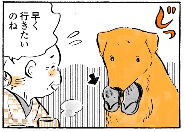 草履をくわえてスタンバイ！おさんぽが待ちきれないレトリバーのおねだり