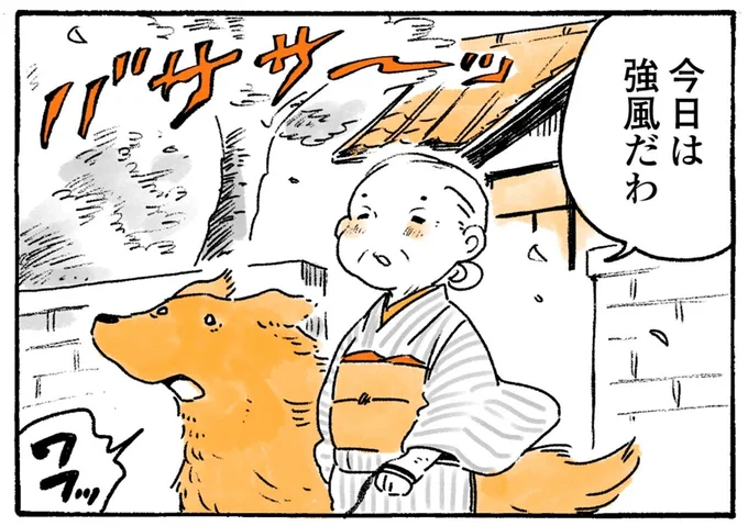 今日は強風だわ