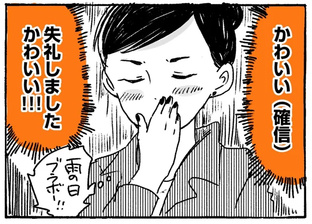 通勤中に会えたらラッキー！雨の日を彩るおばあちゃんとレトリバー
