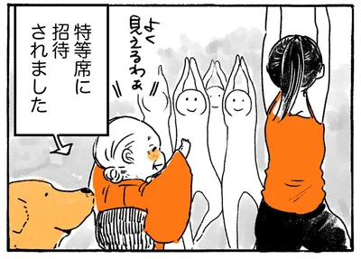 よく見えるわぁ