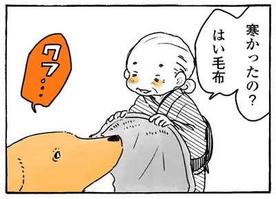 はい毛布