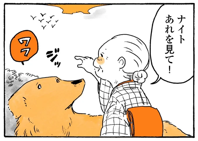 あれを見て!