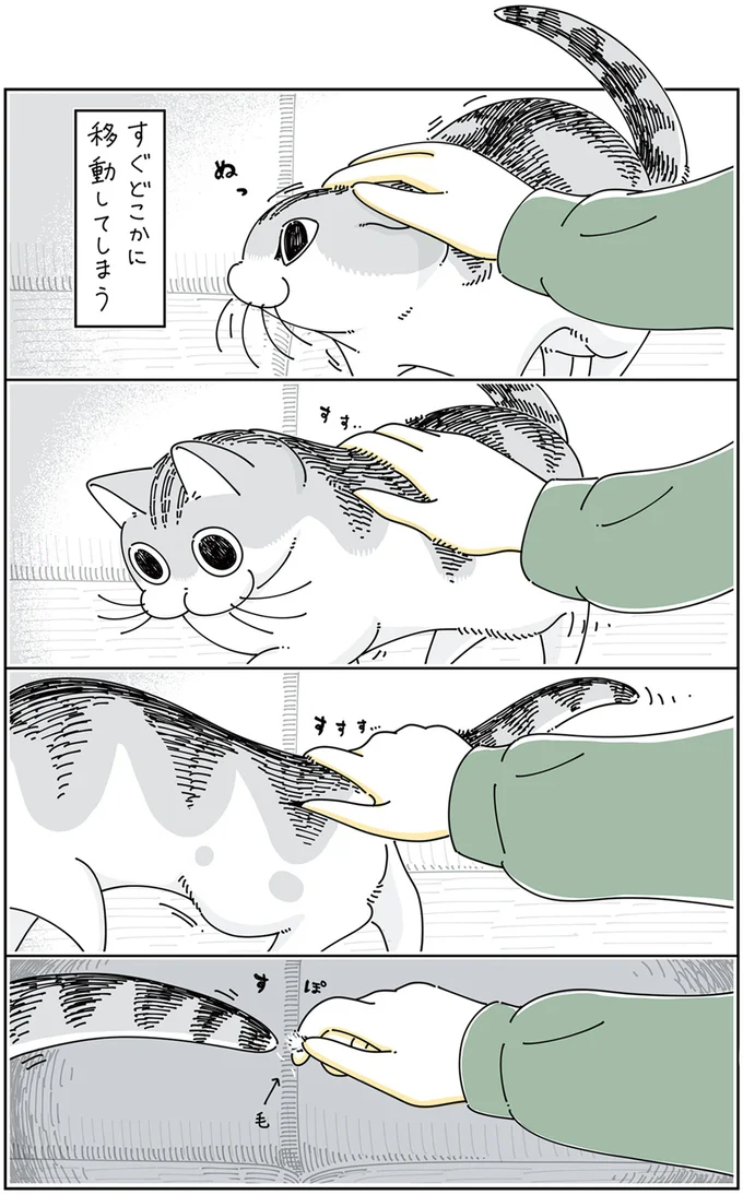 すぐどこかに移動してしまうけど…