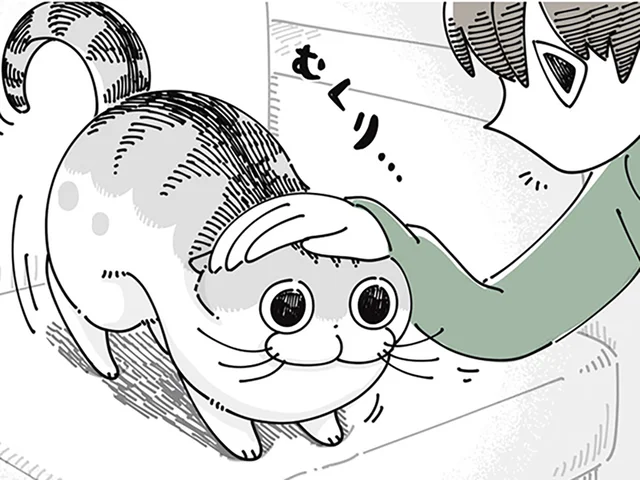 なでなでに飽きてどこかへ。なのにすぐ戻ってくる「ネコのループ」