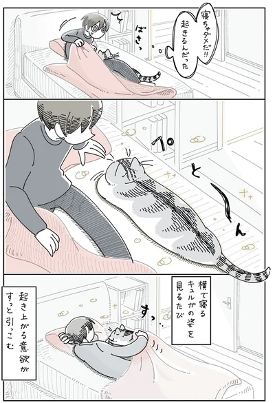 起き上がる意欲がすっと引っこむ
