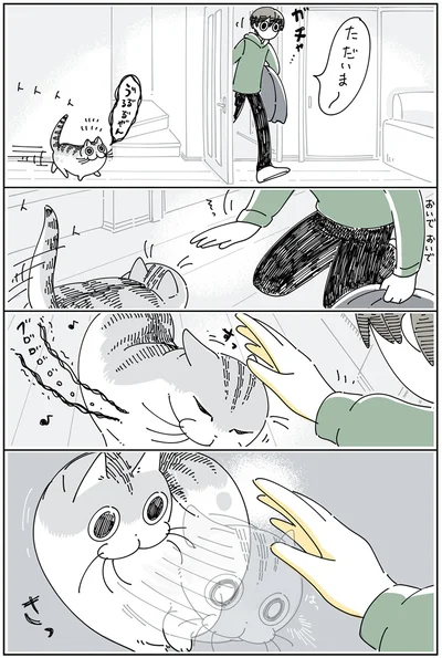 取り調べしたいネコ