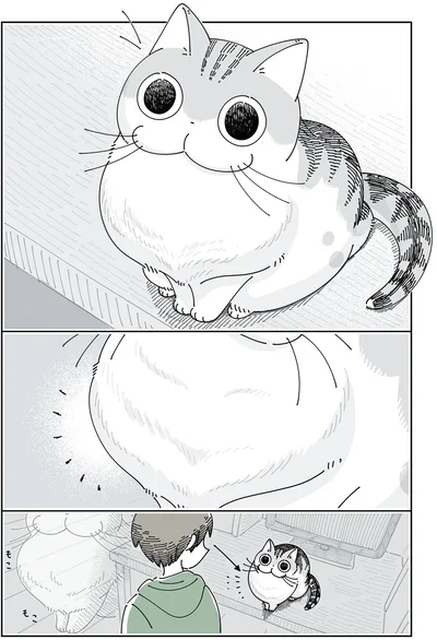 なでると形が変わるネコ