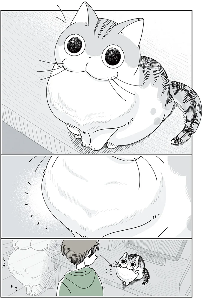 なでると形が変わるネコ