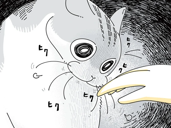 「何を食べてきたんですか？」出迎えが一変する瞬間のネコがこわかわいい