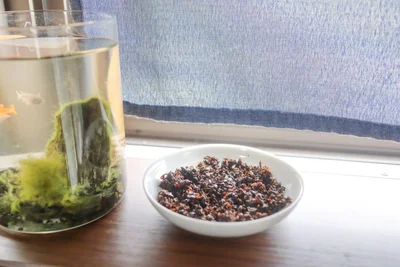 簡単消臭剤の完成！