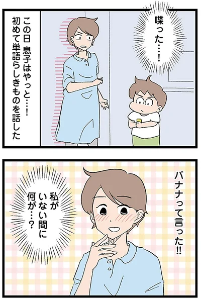『発達障害、認められない親　わが子の正解がわからない』より