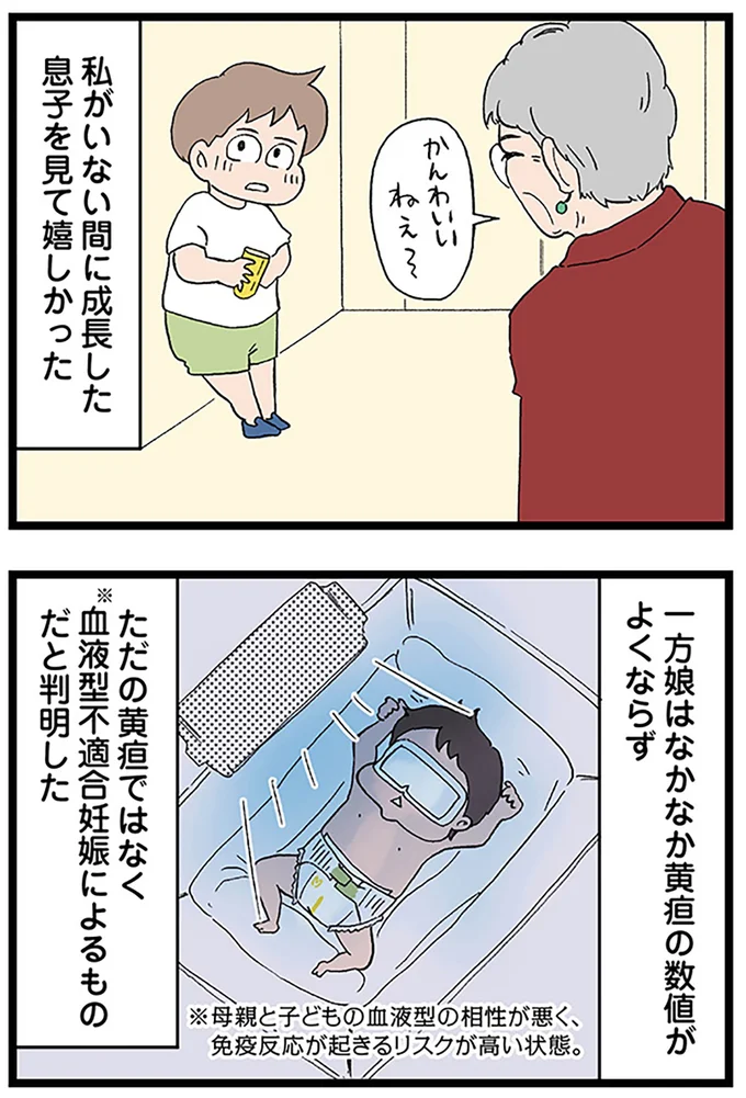 『発達障害、認められない親　わが子の正解がわからない』より
