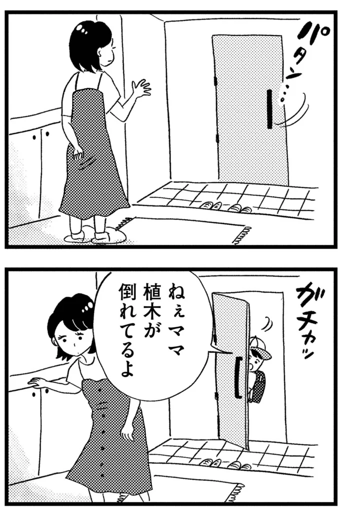 植木が倒れてるよ