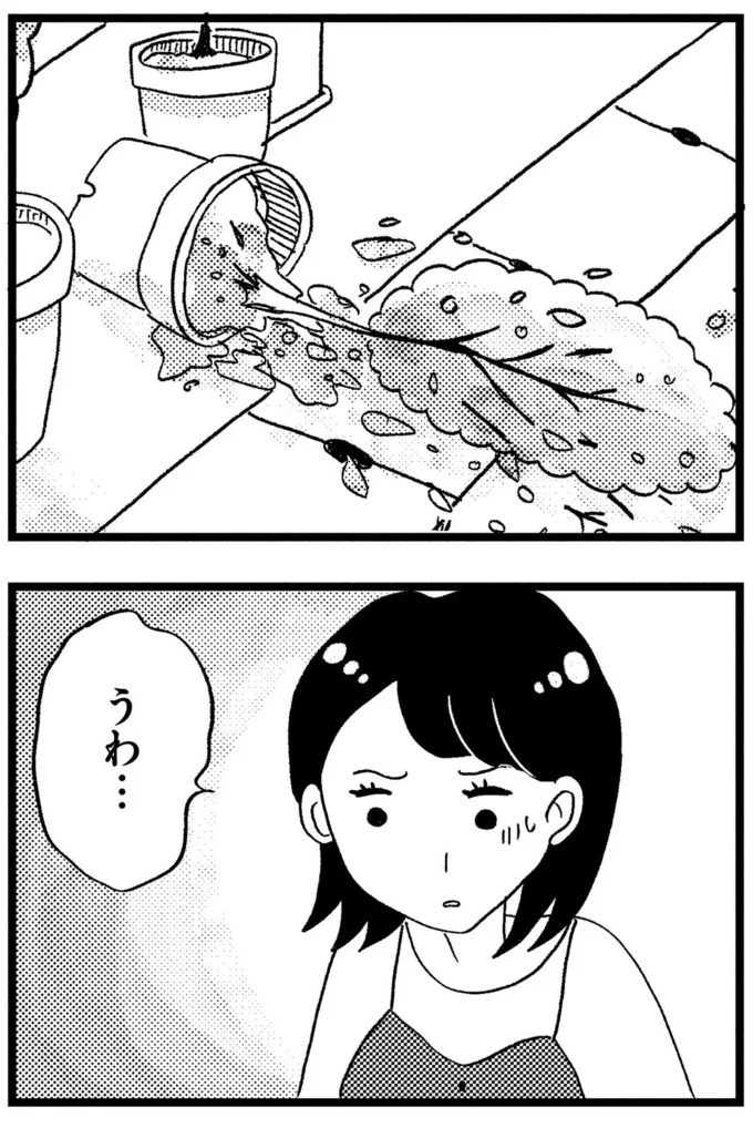 うわ…
