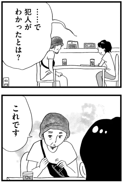 犯人がわかったとは？