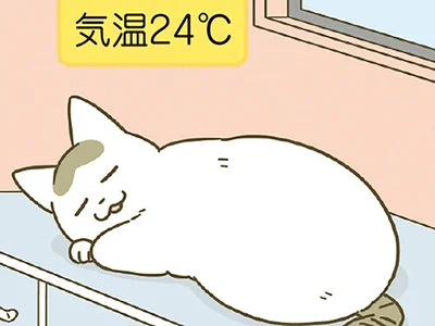 気温が変われば…